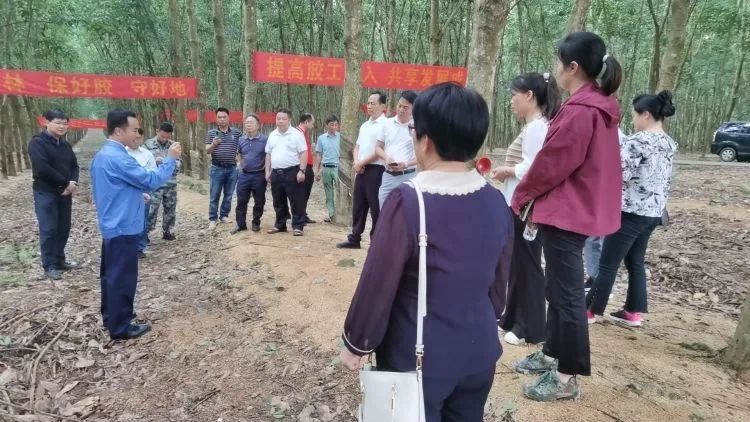 全国割胶冠军张健给各单元学员做尺度化胶园建设及割胶技术的经验介绍。.jpg