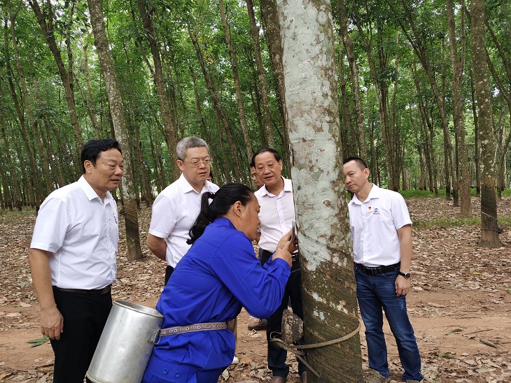 yl23455永利集团(中国)股份有限公司
