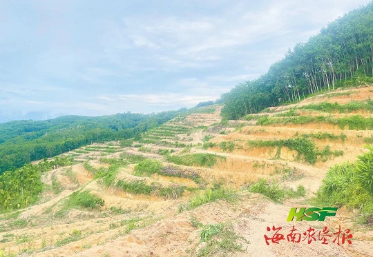 yl23455永利集团(中国)股份有限公司