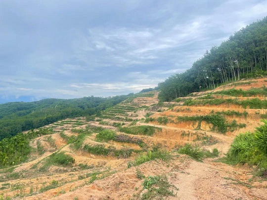 yl23455永利集团(中国)股份有限公司
