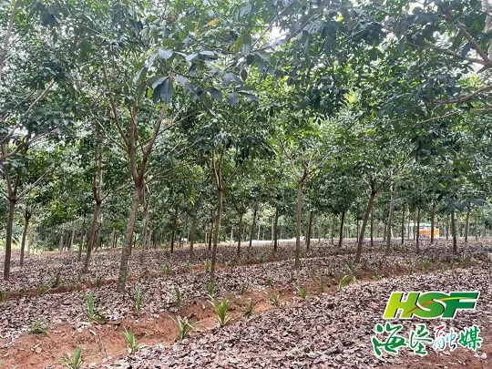 yl23455永利集团(中国)股份有限公司