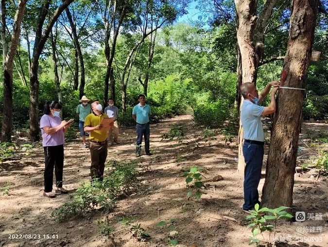 yl23455永利集团(中国)股份有限公司