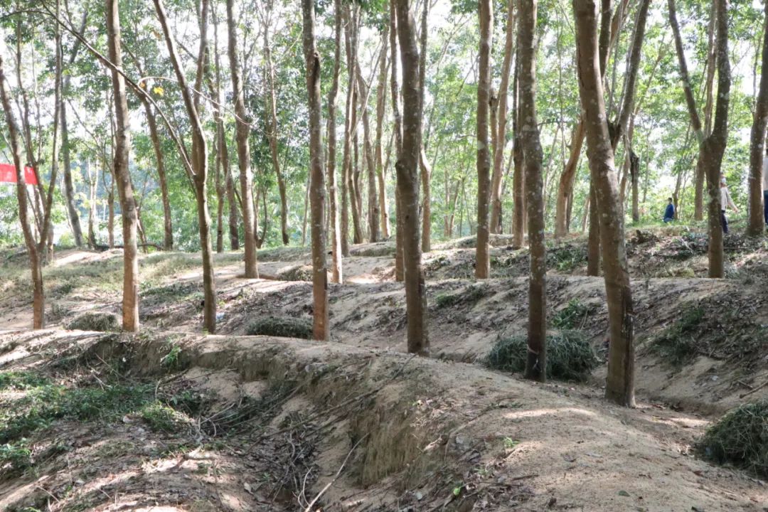 yl23455永利集团(中国)股份有限公司