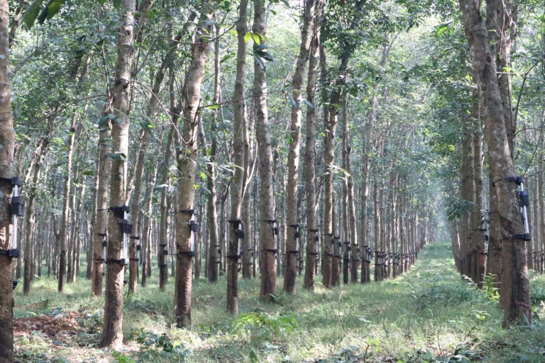 yl23455永利集团(中国)股份有限公司