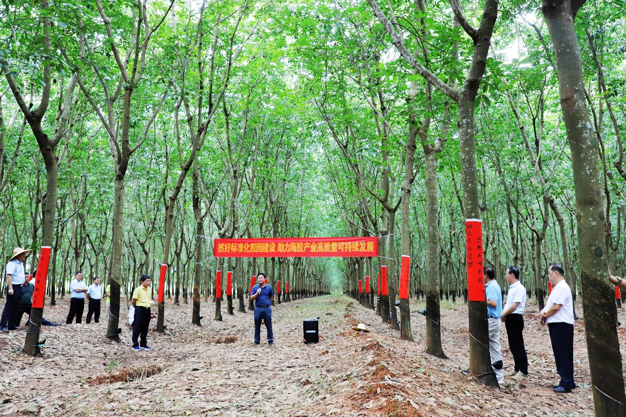 yl23455永利集团(中国)股份有限公司
