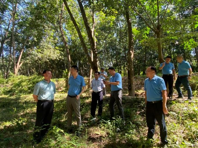 yl23455永利集团(中国)股份有限公司
